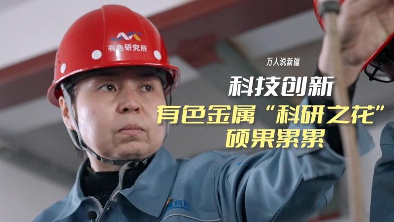 数据湖与AI平台：价格背后的价值考量